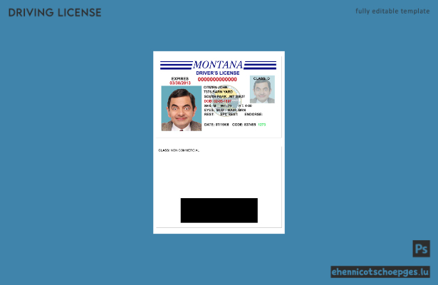 USA Montana Führerschein Version 3 Beispielvorschau